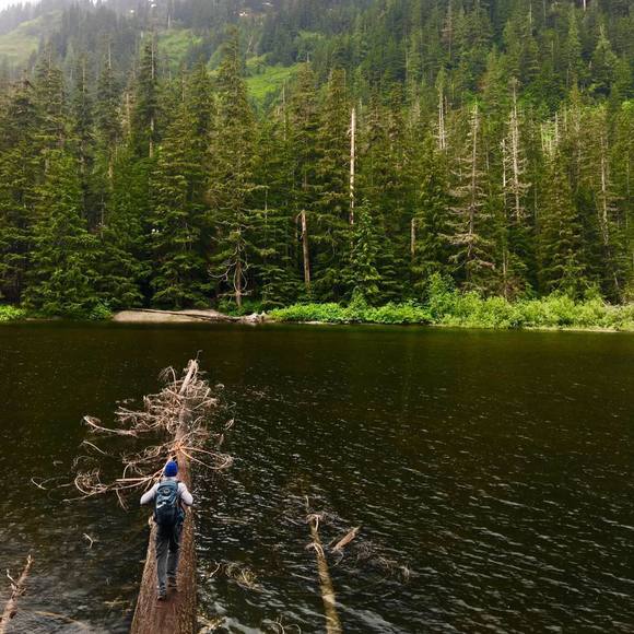 Meet your Posher, George - Picture 1 of 1